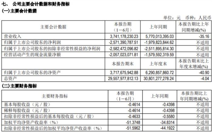 2024新奥历史开奖记录香港,数据资料解释定义_5DM88.251