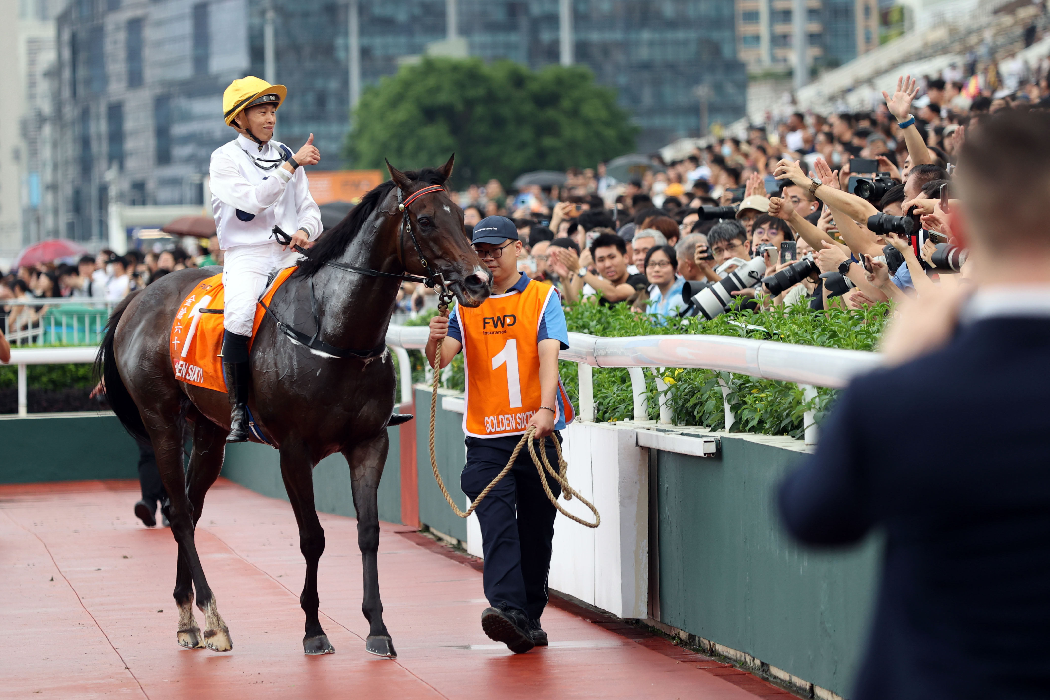 2024香港赛马全年免费资料,国产化作答解释落实_黄金版3.236