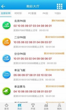 2O24澳门开奖结果王中王,全面数据应用实施_领航款30.666