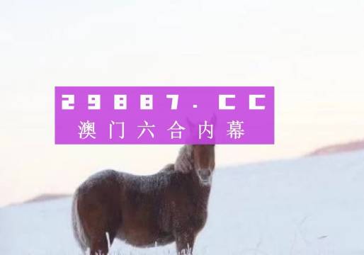 新澳门今晚必开一肖一特,实地验证方案_精装款66.637