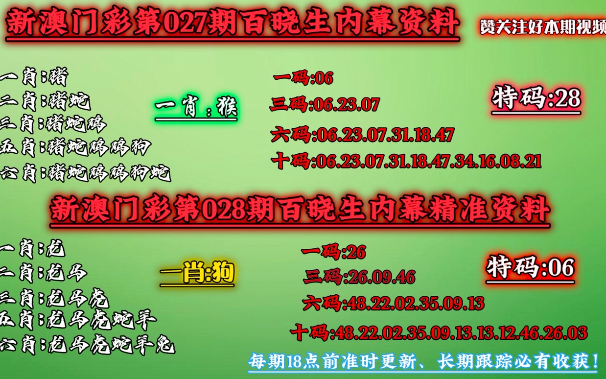 新澳门一肖一码,定性说明解析_The66.957